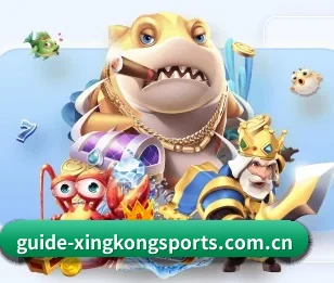 m.guide-xingkongsports.com.cn的故事